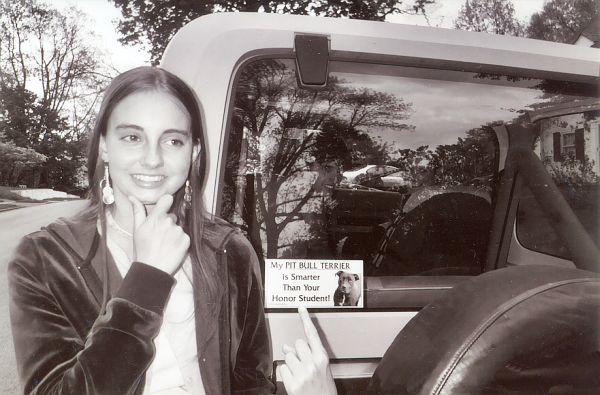 Joy-bumper-sticker shivelyd