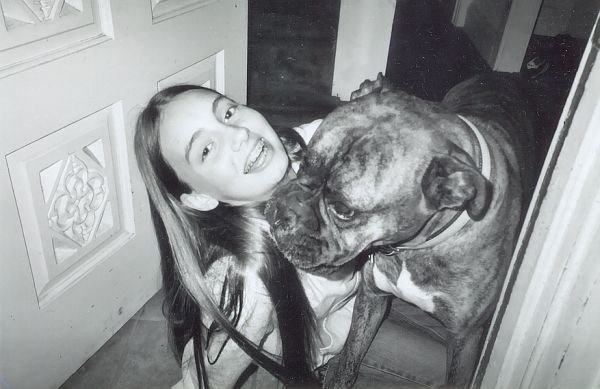 Joy-pit-bull shivelyd